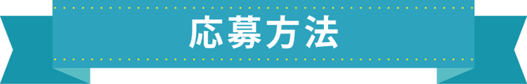 CP用WEBサイト 構築用-応募方法01