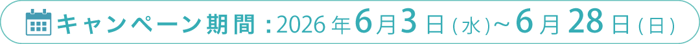 CP用WEBサイト 構築用-期間
